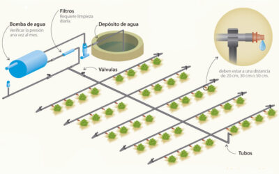 COMPONENTES INSTALACIÓN RIEGO POR GOTEO