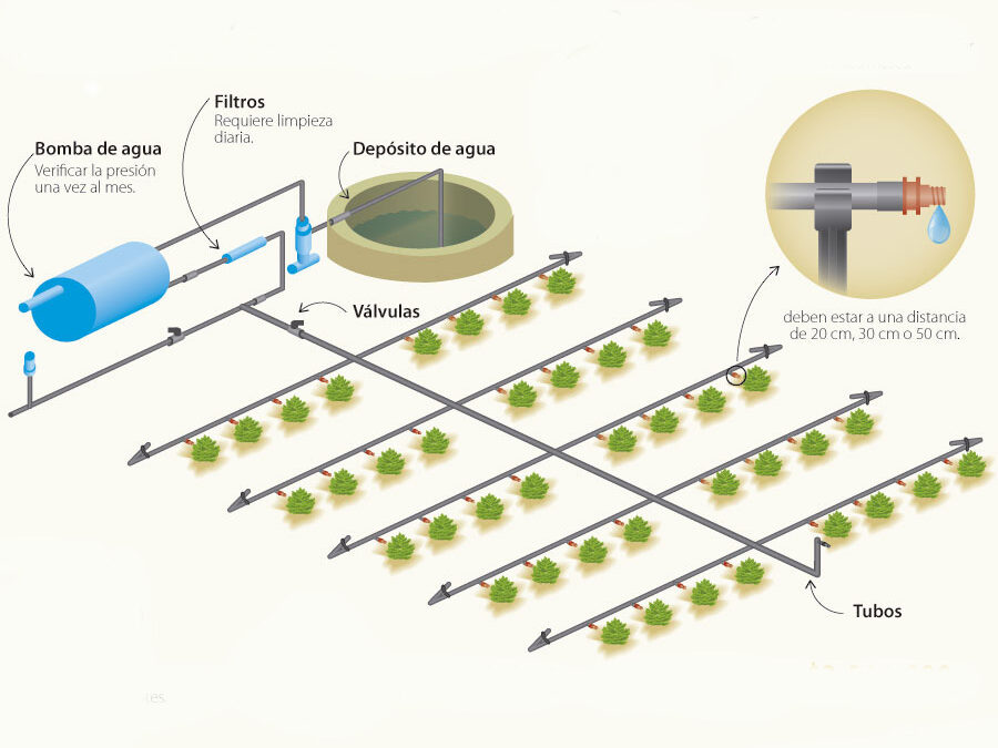 COMPONENTES INSTALACIÓN RIEGO POR GOTEO