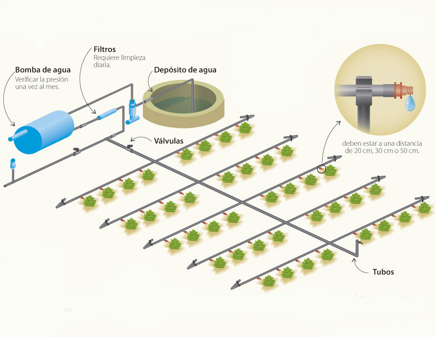 Tipos de tuberías para un sistema de riego por goteo agrícola 