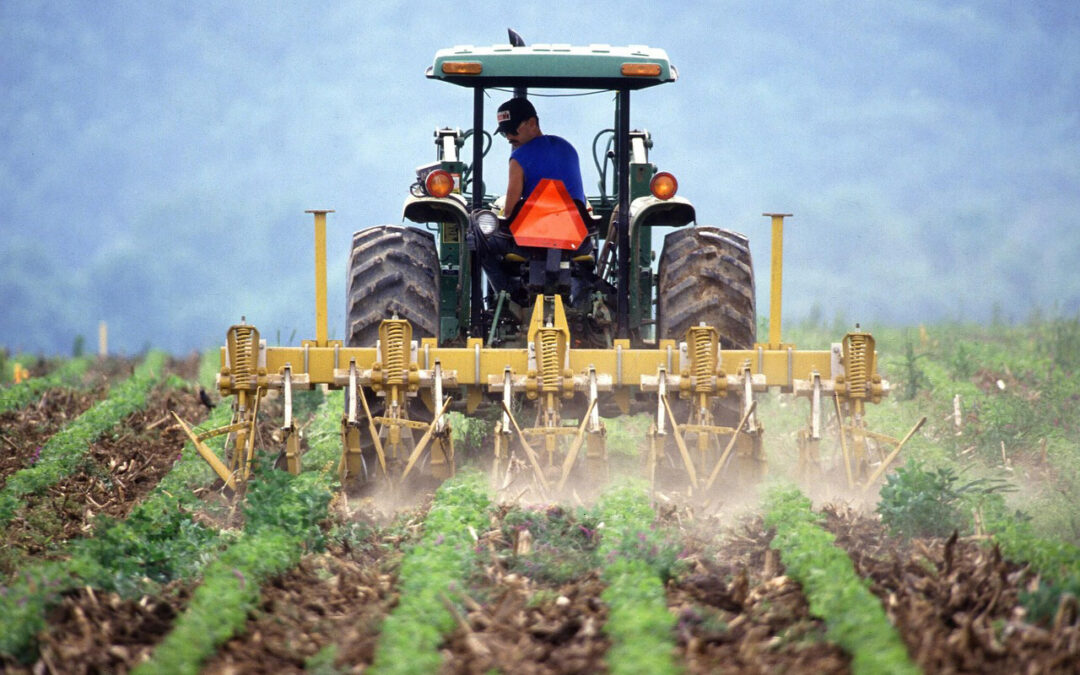 Principal problema jovenes agricultores