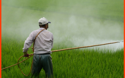 RESISTENCIA A LOS HERBICIDAS