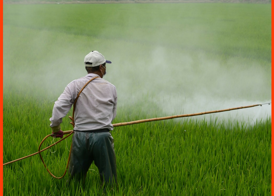 RESISTENCIA A LOS HERBICIDAS