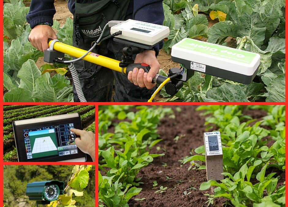 SENSORES EN LA AGRICULTURA