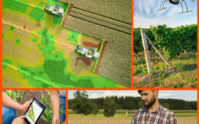 TENDENCIAS EN LA AGRICULTURA