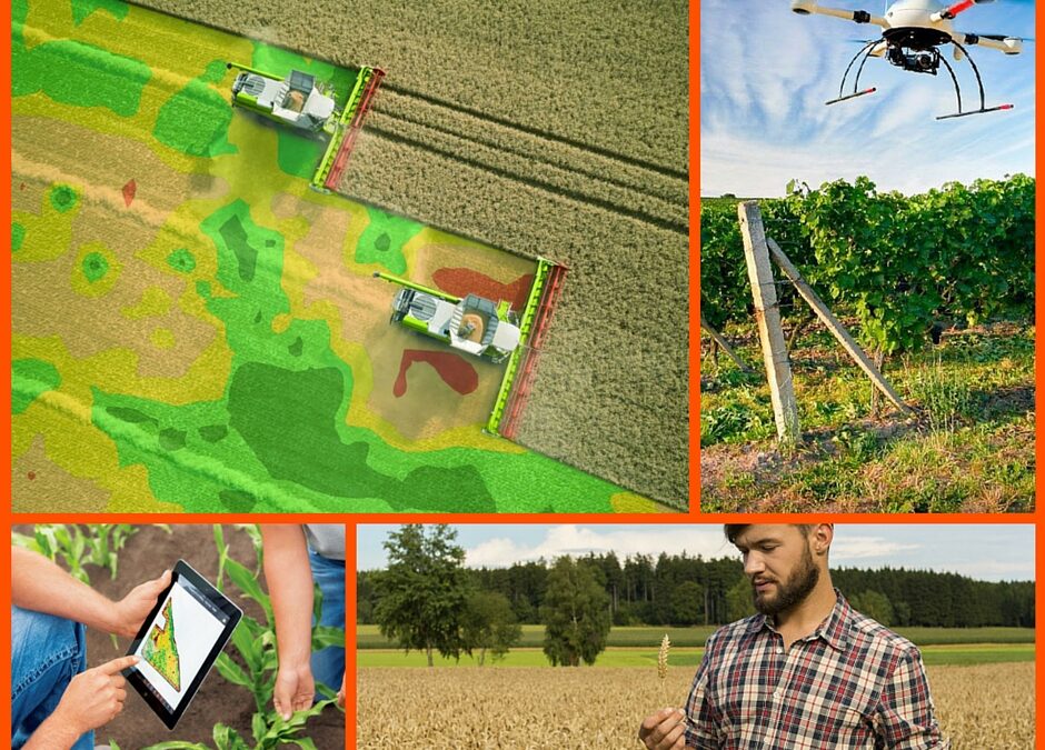 TENDENCIAS EN LA AGRICULTURA