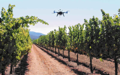 APLICACIÓN DE LOS DRONES EN AGRICULTURA