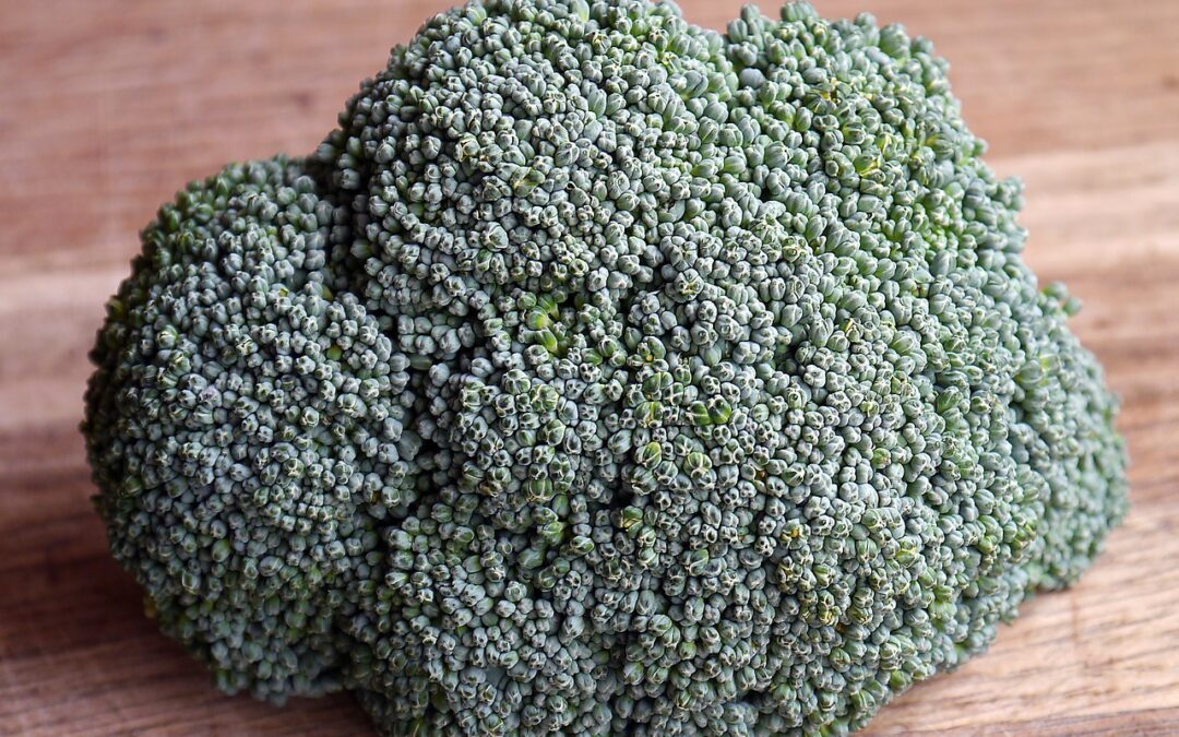 brocoli