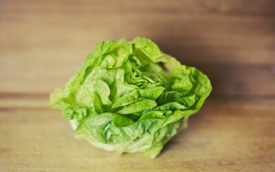 RIEGO POR GOTEO EN EL CULTIVO DE LECHUGA