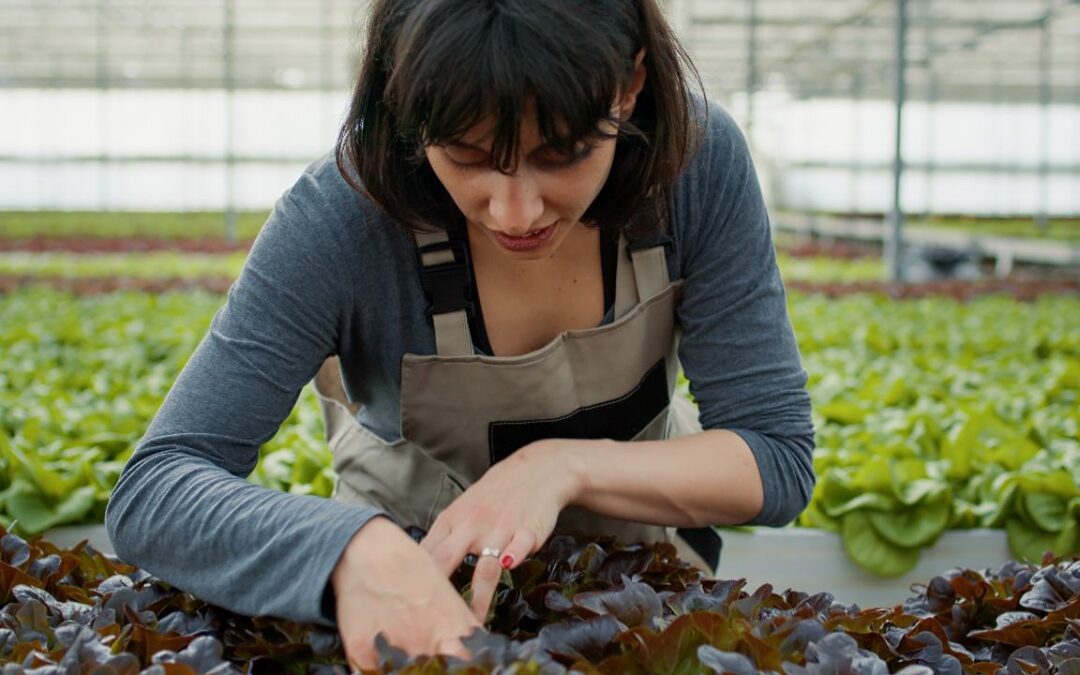 El papel del riego en la prevención de enfermedades de plantas