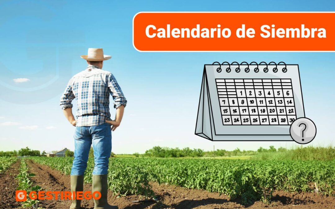 Calendario de Siembra: Guía Completa para Planificar tu Huerto