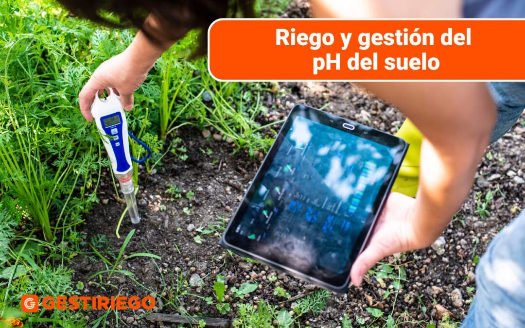 Riego y gestión del pH del suelo: Técnicas y tecnología para cultivos saludables