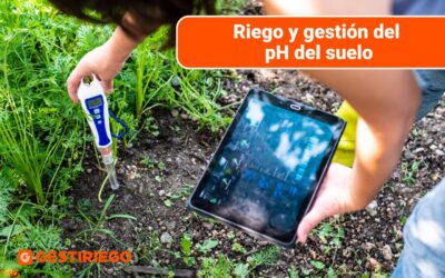 Riego y gestión del pH del suelo: Técnicas y tecnología para cultivos saludables