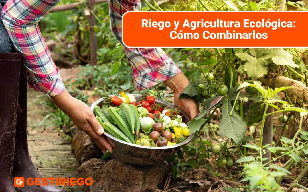 Riego y Agricultura Ecológica: Cómo Combinarlos