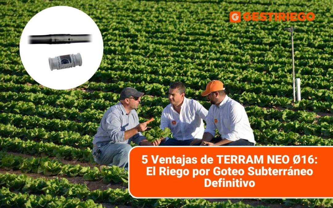 5 Ventajas de TERRAM NEO Ø16: El Riego por Goteo Subterráneo Definitivo